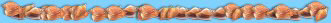 Separator Bar