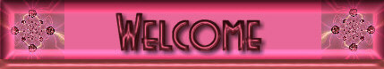 Welcome bar