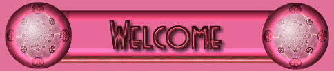 Welcome bar