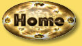 Home Button